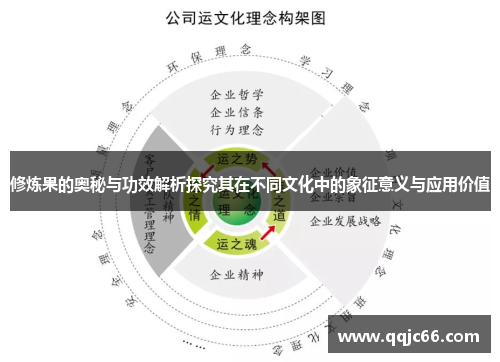修炼果的奥秘与功效解析探究其在不同文化中的象征意义与应用价值