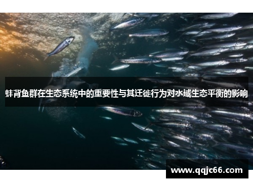 蚌背鱼群在生态系统中的重要性与其迁徙行为对水域生态平衡的影响