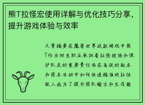 熊T拉怪宏使用详解与优化技巧分享，提升游戏体验与效率